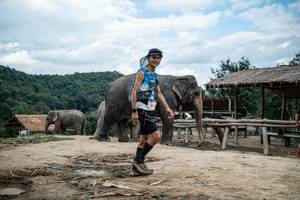 BIB: 
                            <button type="button" onclick="openModal(22424107)" class="btn btn-primary btn-sm float-right btn-popup" data-toggle="modal" data-target=".modal-high-quality">
                        <i class="fas fa-shopping-cart"></i> Add to Cart
                    </button>
                                            <button type="button" onclick="isThisMe(22424107, true)" class="btn btn-success btn-sm float-right btn-popup btn-isme hidden" data-toggle="tooltip" data-placement="bottom" title="นี่คือรูปของคุณใช่ไหม คลิกที่นี่เพื่อเอาเข้าอัลบั้ม">
                        <i class="fas fa-plus"></i> Add to album
                    </button>
                    <button type="button" onclick="isThisMe(22424107, false)" class="btn btn-warning btn-sm float-right btn-popup btn-isnotme hidden">
                        <i class="fas fa-ban"></i> Remove from album
                    </button>